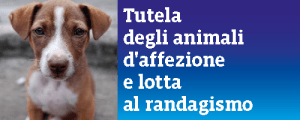lotta al randagismo